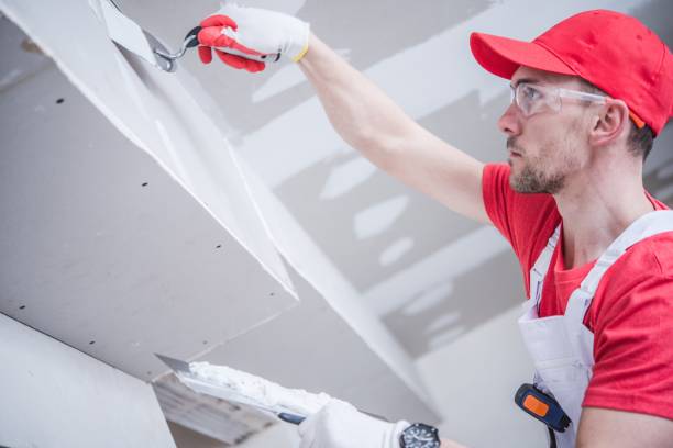 Best Ceiling Drywall Installation  in Bellwood, VA